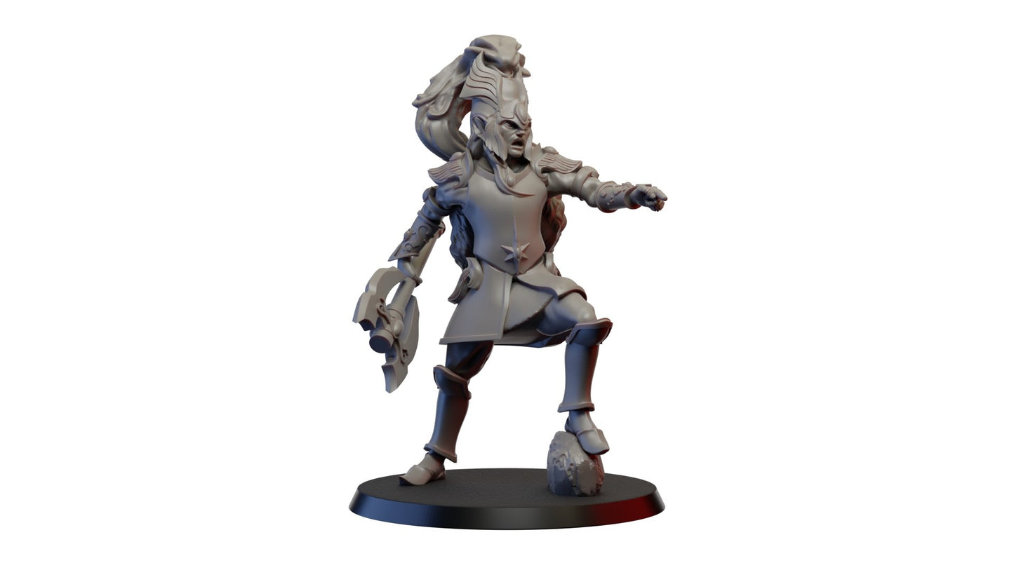 High Elf Lion warriors, Resin miniatures 11:56 (28mm / 32mm) scale - Ravenous Miniatures