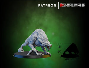 Ogre saber wolf pack, Resin miniatures 11:56 (28mm / 32mm) scale - Ravenous Miniatures