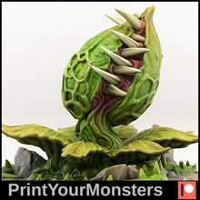 Load image into Gallery viewer, Dormant Man eating Venus fly trap (25mm), 28/32mm resin miniatures for TTRPG and wargames - Ravenous Miniatures
