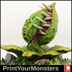 Dormant Man eating Venus fly trap (25mm), 28/32mm resin miniatures for TTRPG and wargames - Ravenous Miniatures