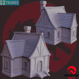 House common, Unpainted Resin Miniature Models. - Ravenous Miniatures