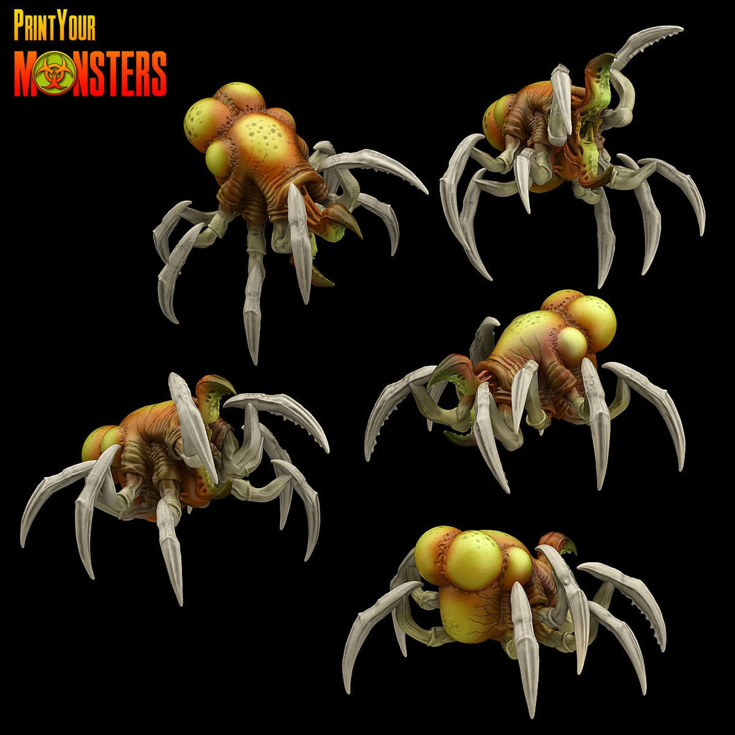 Poisonous spiders 3pack (25/50mm) resin miniatures for TTRPG and wargames - Ravenous Miniatures
